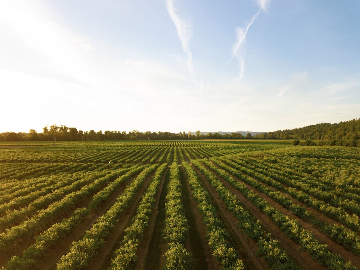 Agricultural Technology